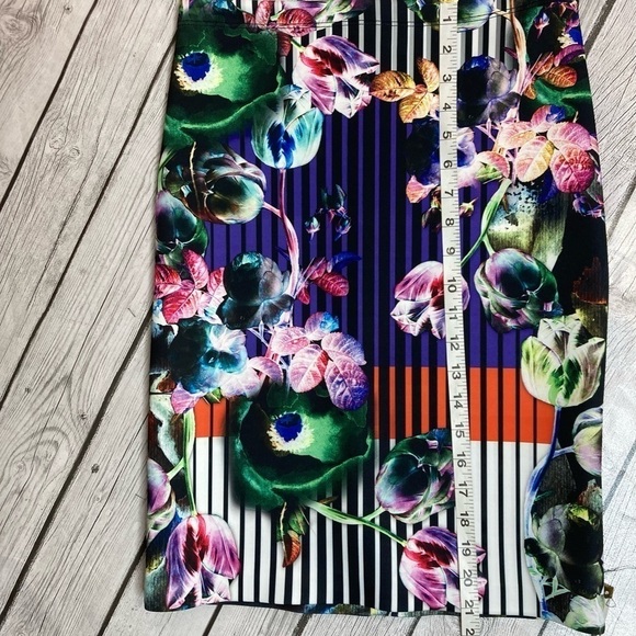 Clover Canyon Night Matador Stripe, Floral Pencil Skirt - Picture 7 of 10